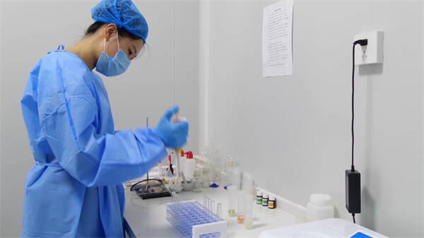 東營區(qū)凈菜工廠日產能達30噸，科技賦能保障市民“菜籃子”供應